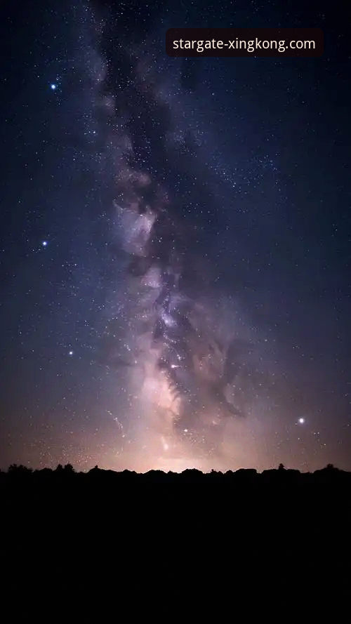 星空APP官网详解：手机版是否收费？新手必看指南